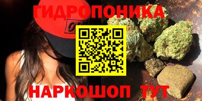 хмурый Малгобек