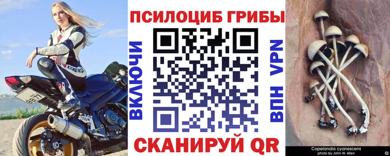 сколько стоит  Протвино  Псилоцибиновые грибы ЛСД 