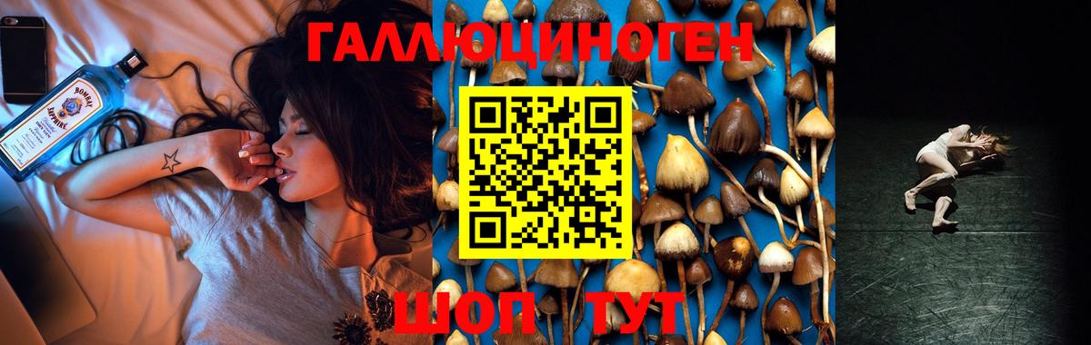Псилоцибиновые грибы GOLDEN TEACHER  Псилоцибиновые грибы прущие грибы  Протвино  Вход с VPN 
